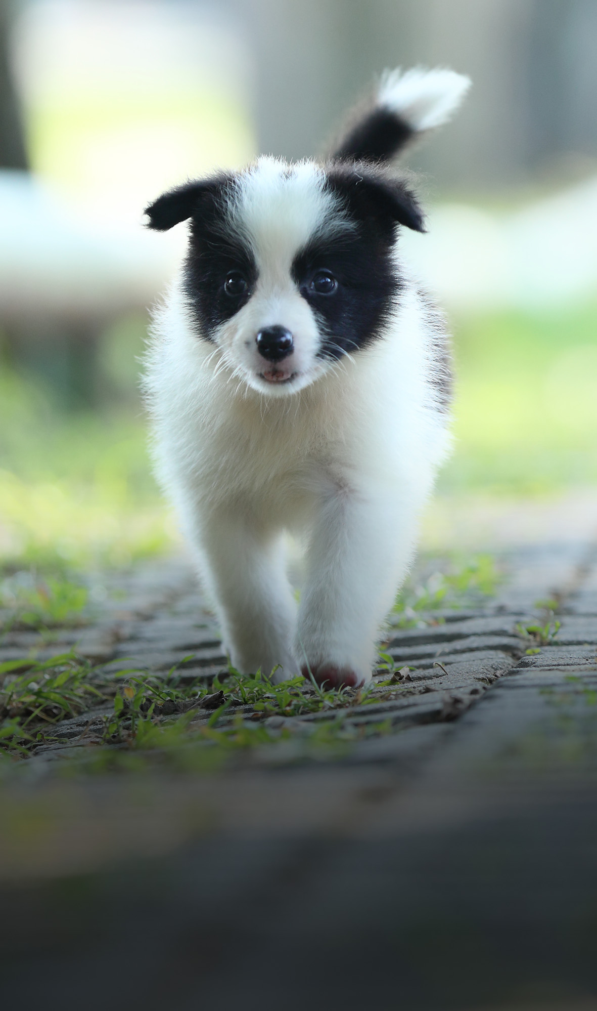 腸道寄生蟲banner_mobile